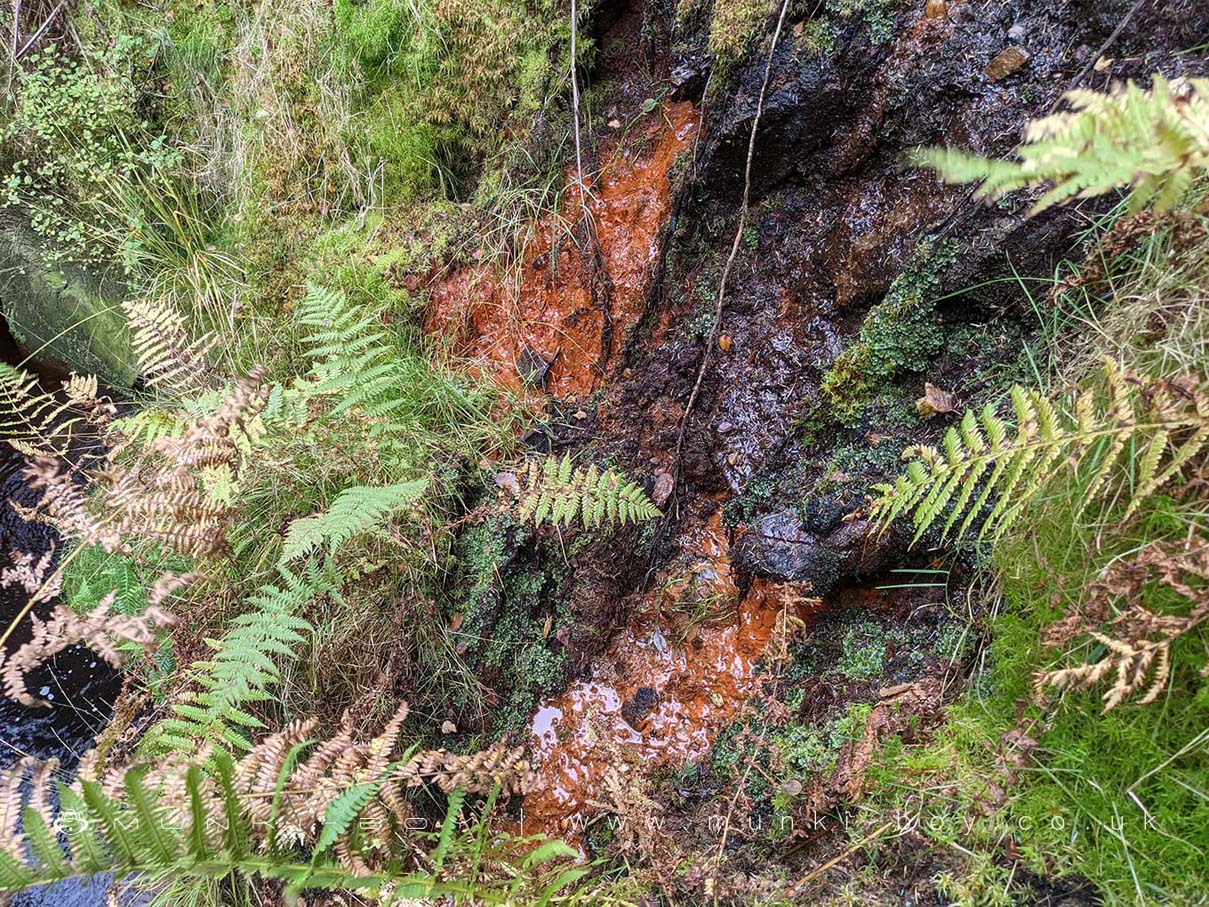 Ochre (hydrated Fe03 oxide) further up the Limestone Brook