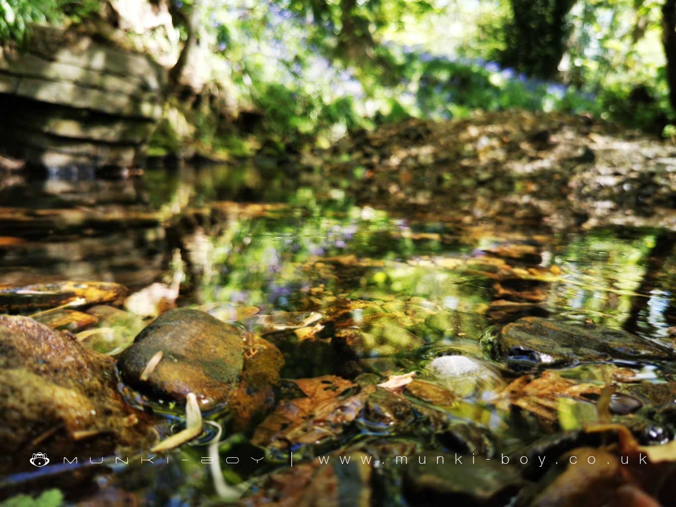 Hall Brook