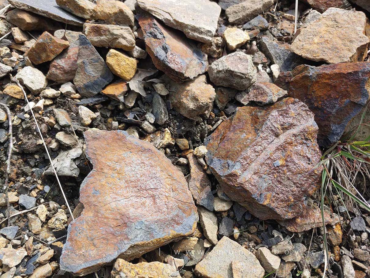 Shale with iron oxide from Pyrites at Lead Mines Clough
