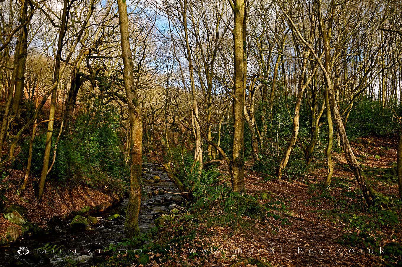 Jepsons Clough