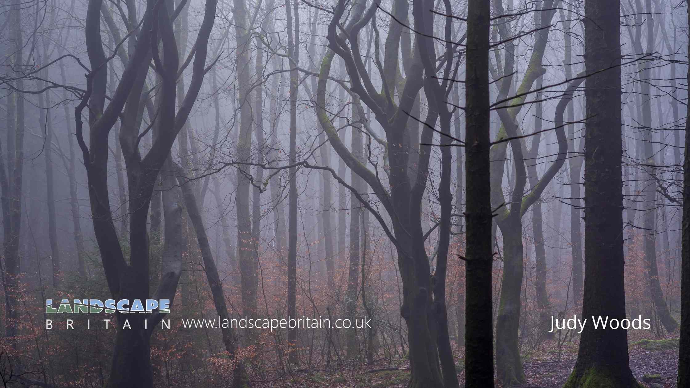 Judy Woods