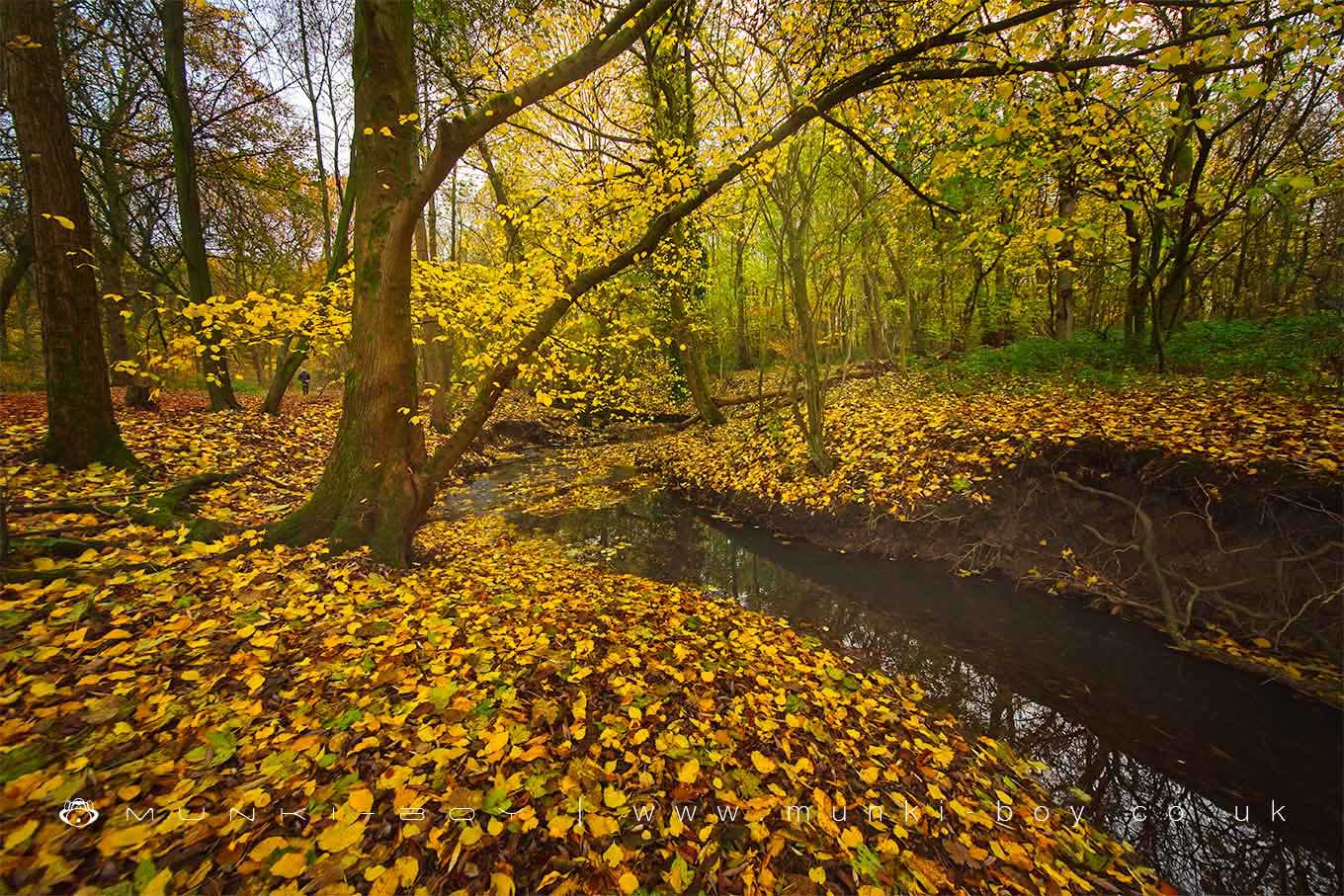 Kempnough Brook