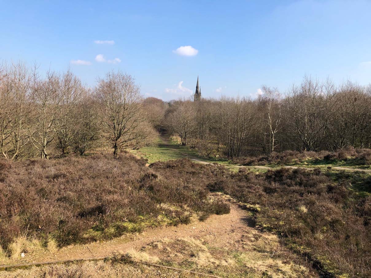 Kersal Moor Local Nature Reserve