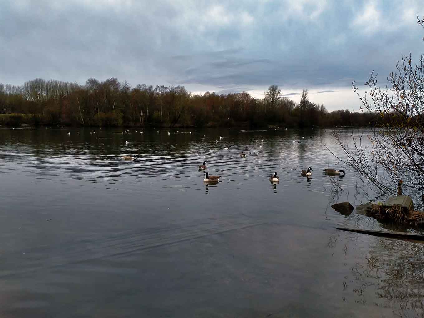 Lake at Chorlton Water Park