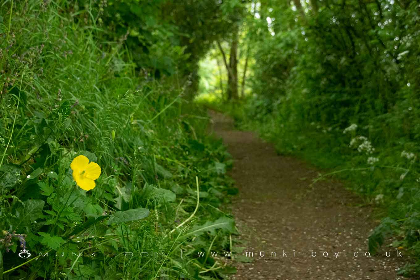 Langroyd Country Park