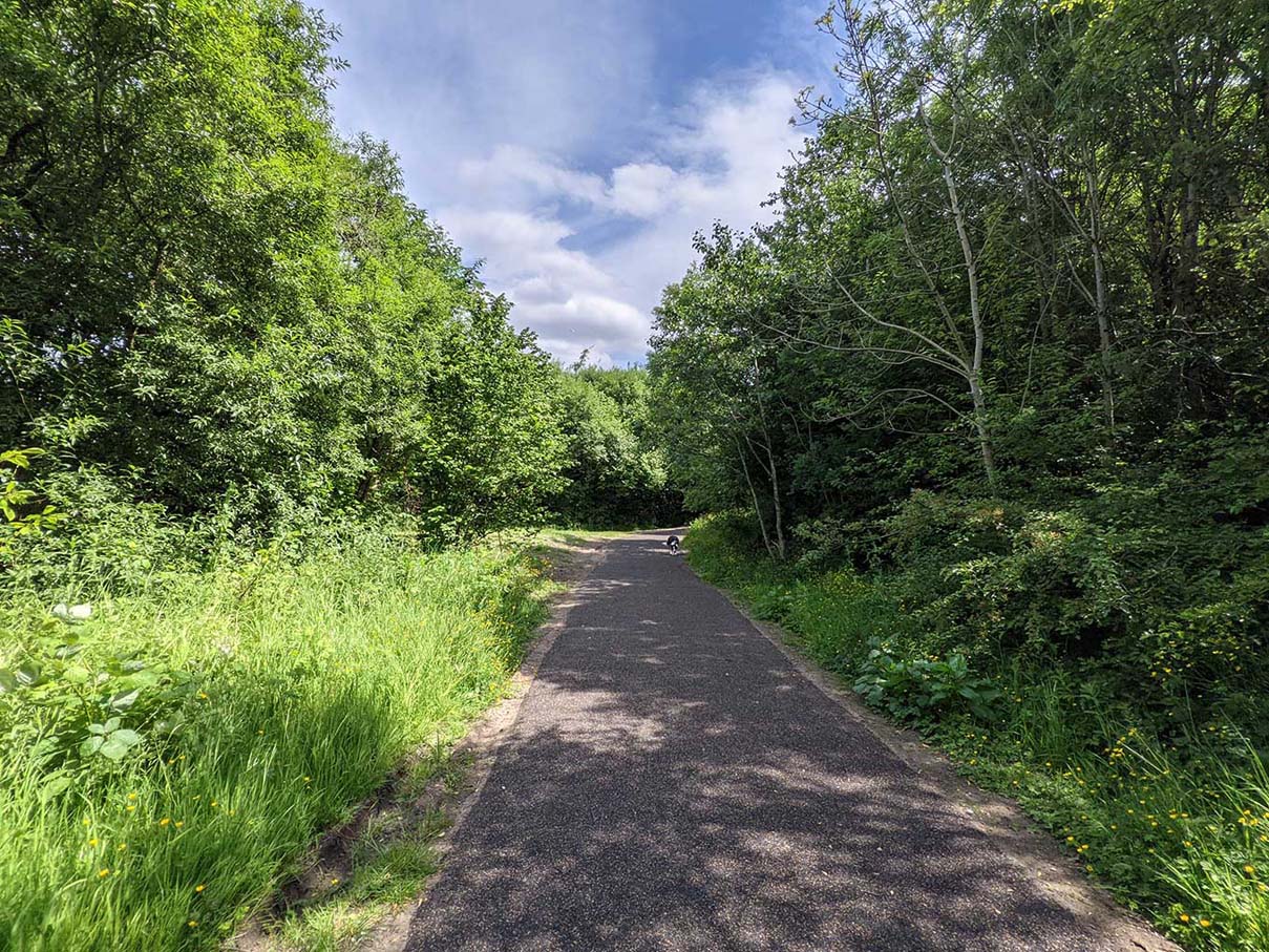 Linnyshaw Loopline