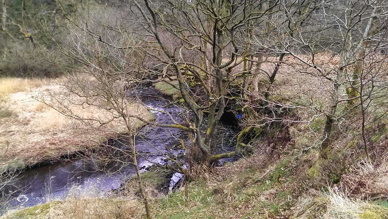 Longworth Clough