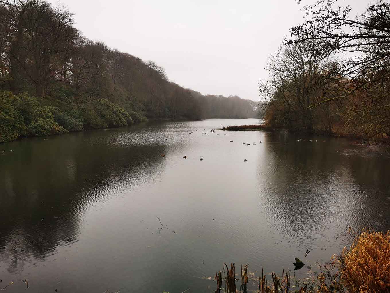 Lower Lake