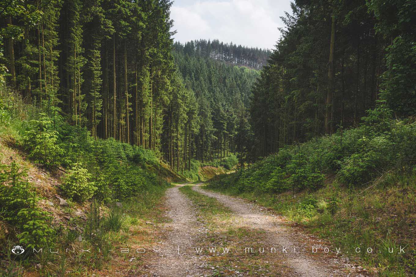 Macclesfield Forest