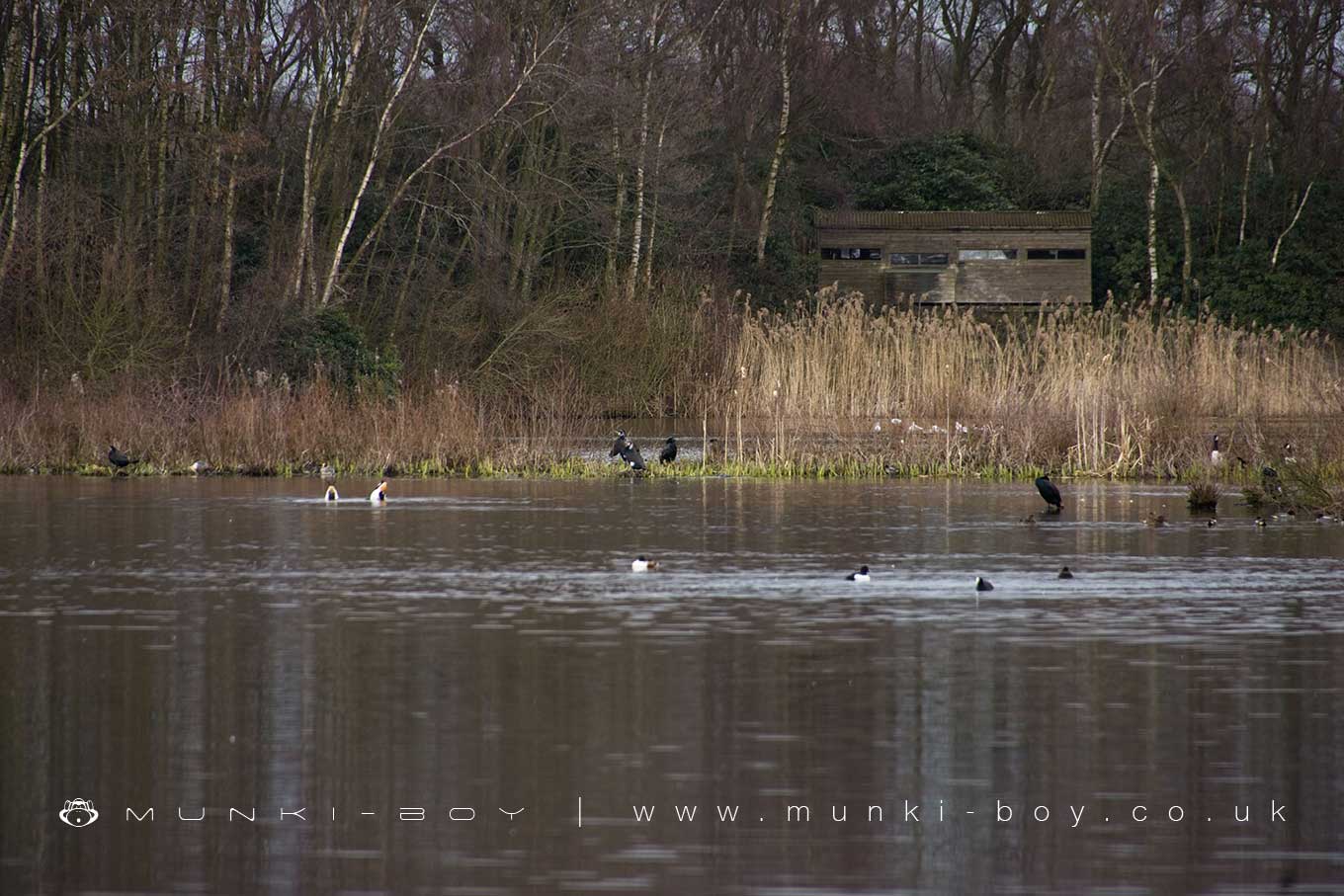 Mere Sands Wood