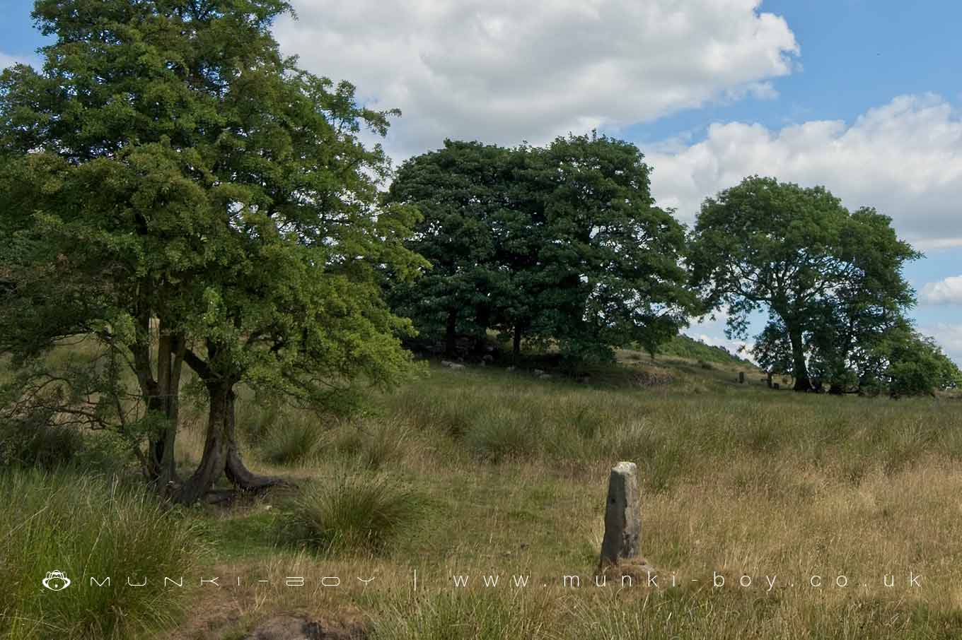 Middle Ridge (ruin)