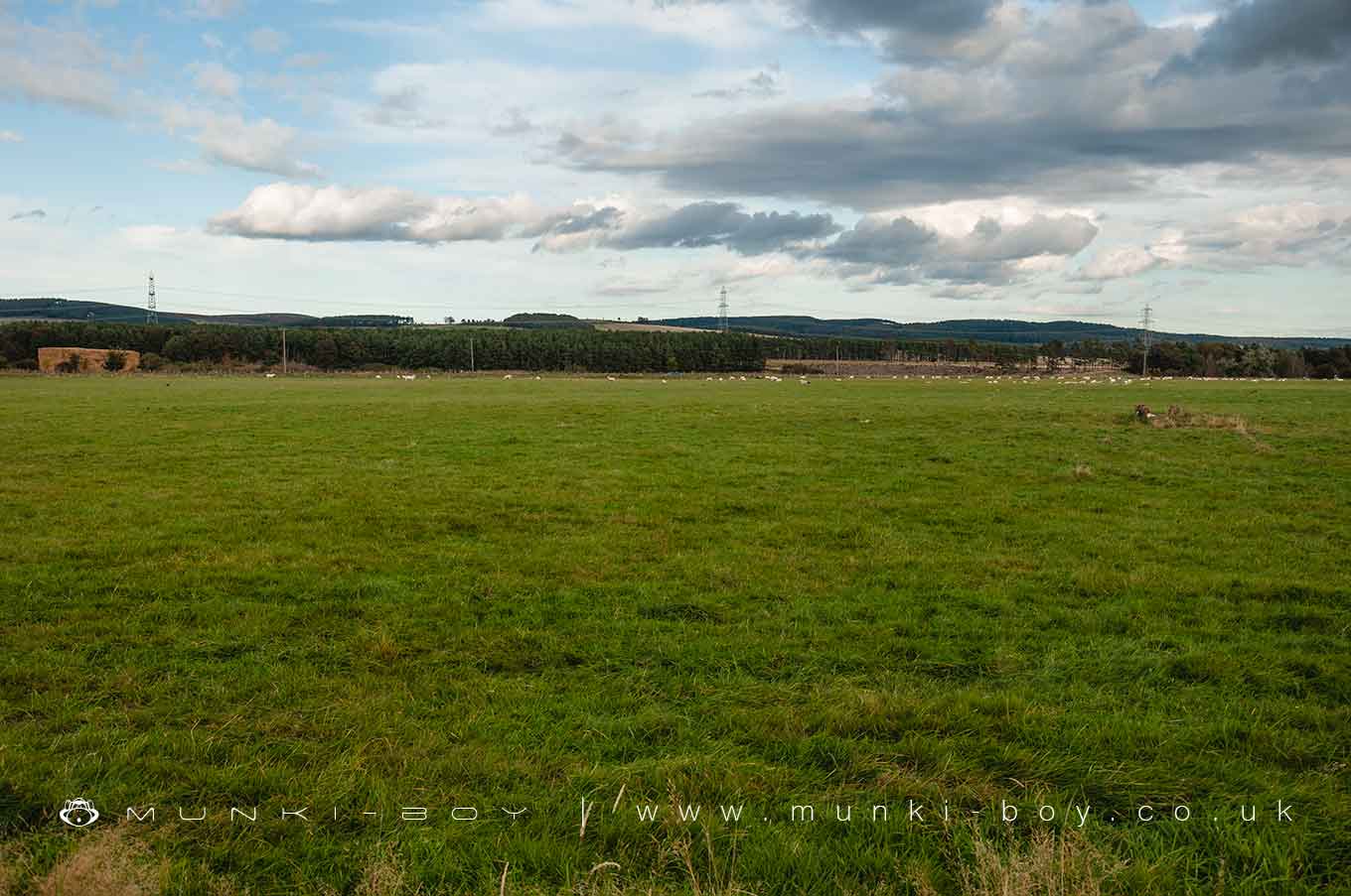 Milfield