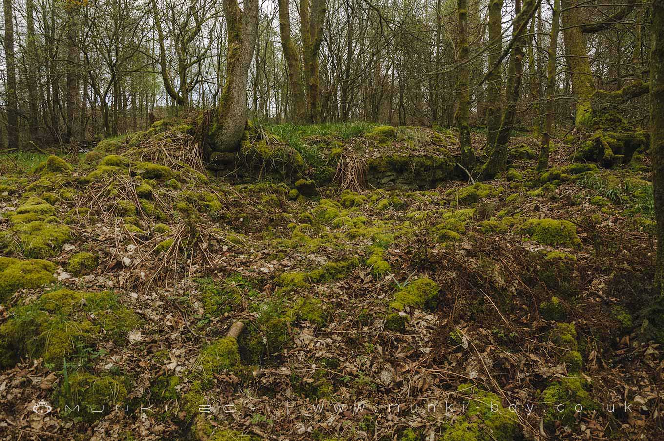 Mill Lane House (ruin)