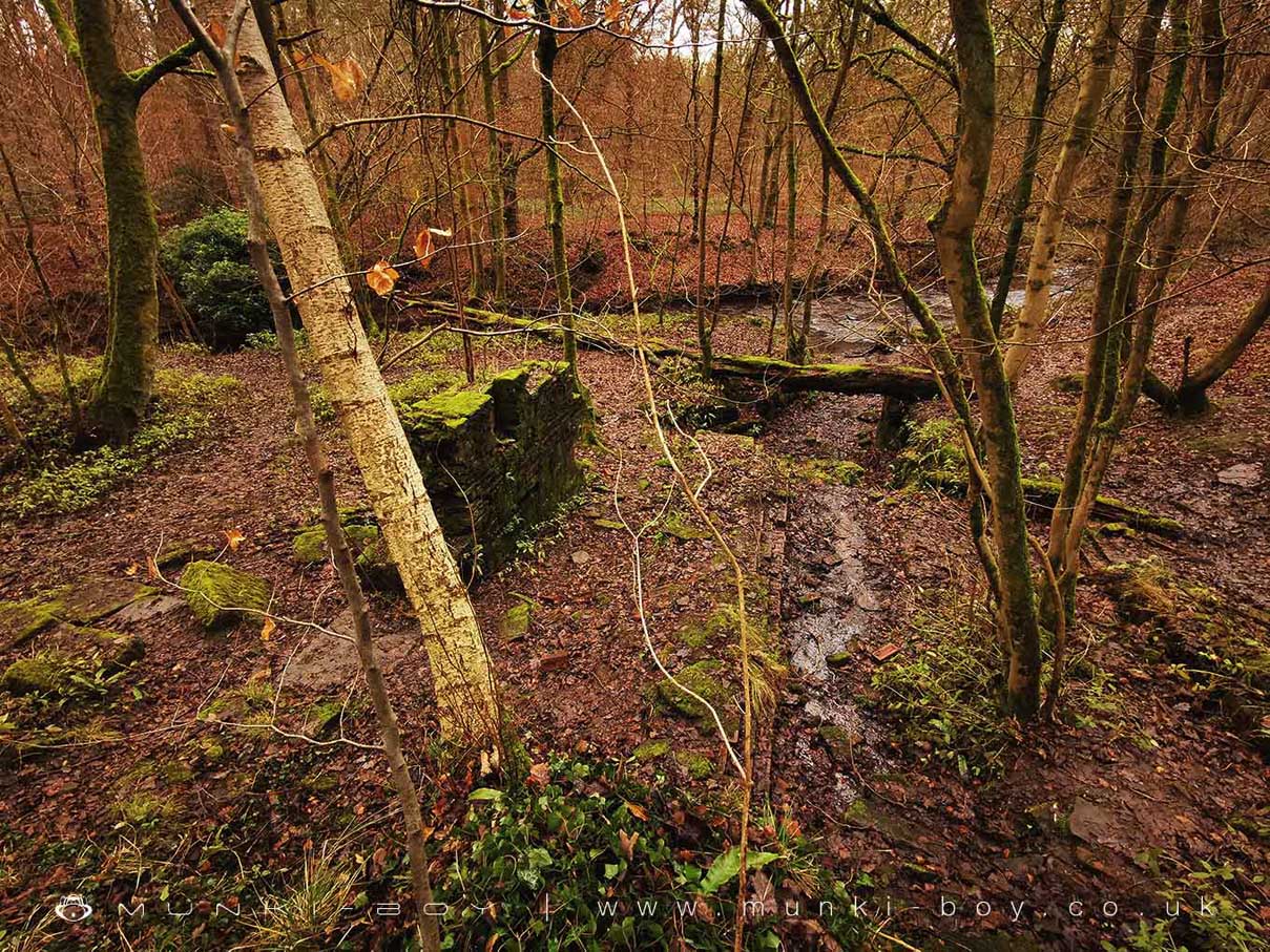 Mill Race and Wheel Pit at Duxbury Corn Mill Ruins
