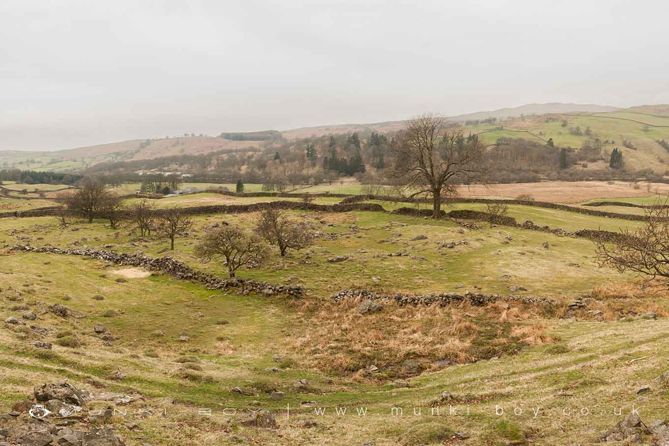 Millrigg Romano-British Enclosed Hut Circle Settlement