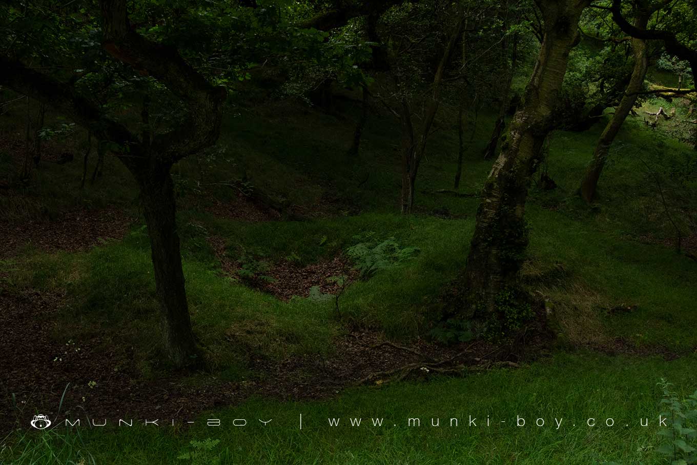 Old mine shafts in the woods near the bottom of Lead Mines Clough

