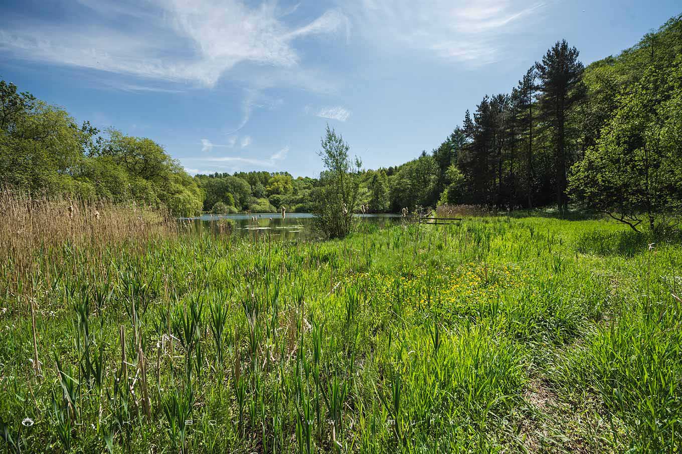 Moses Gate Country Park