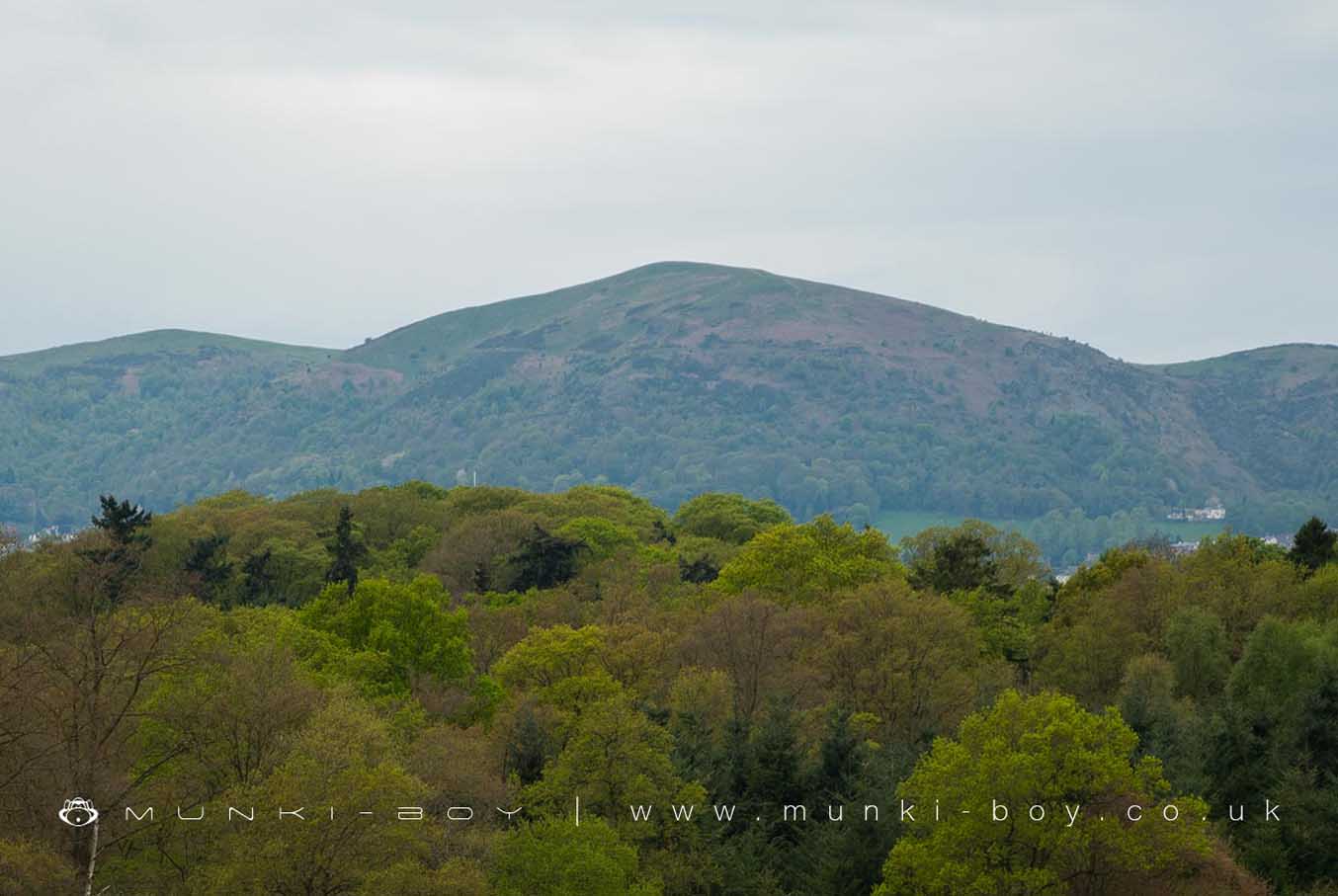 North Hill