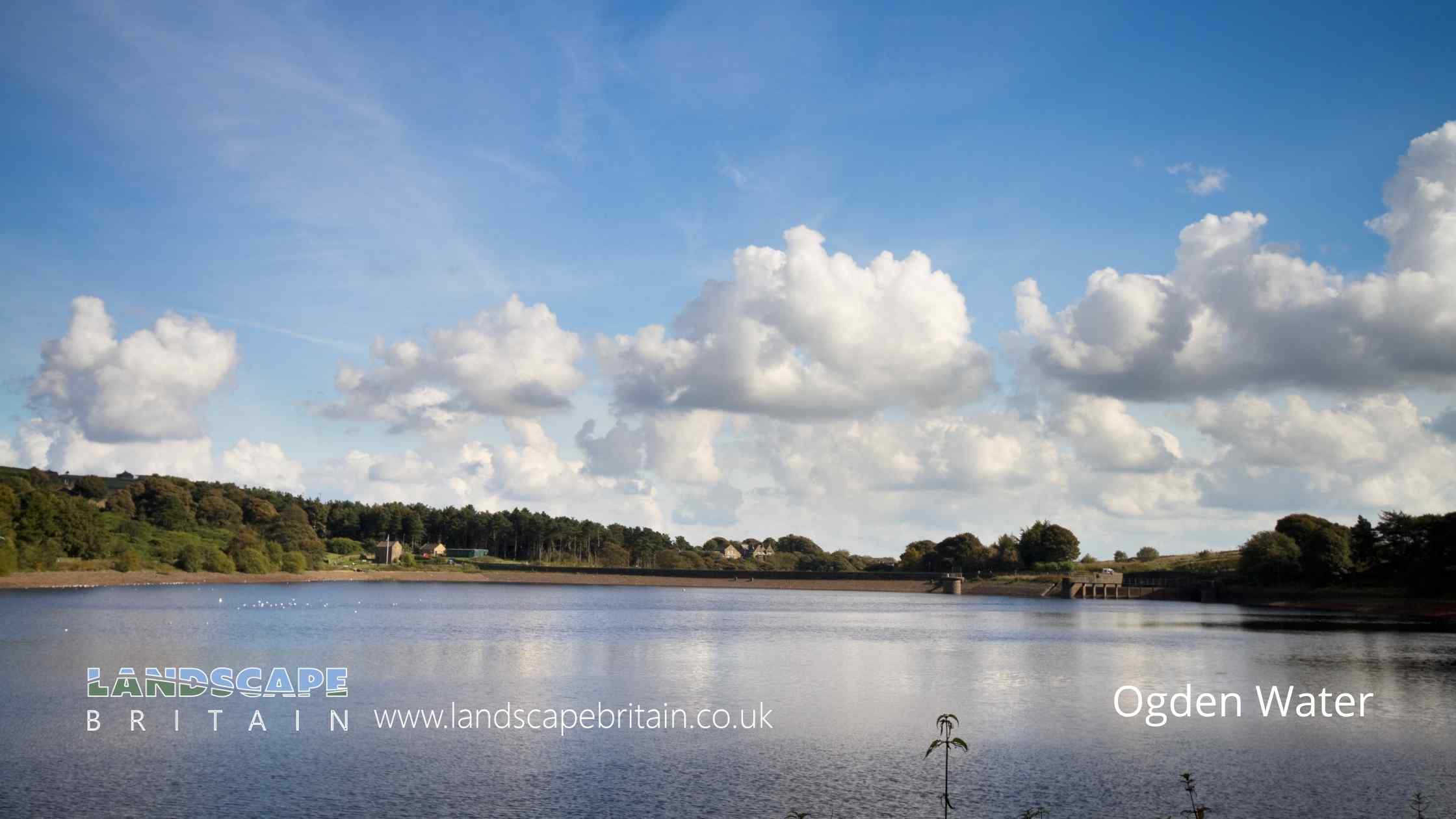 Ogden Water