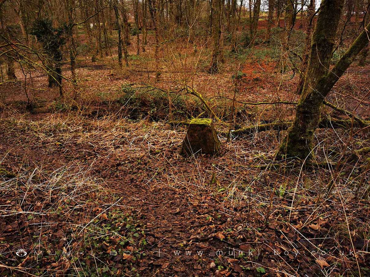 Old Coal Pit at Duxbury Mill Farm

