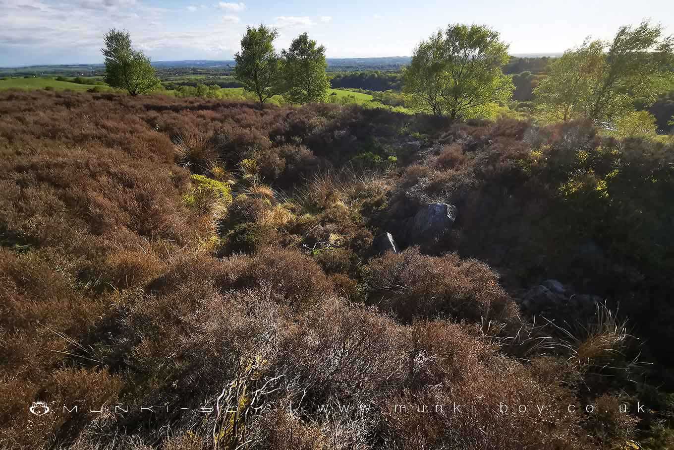 The old Bell Pits on Stronstrey Bank

