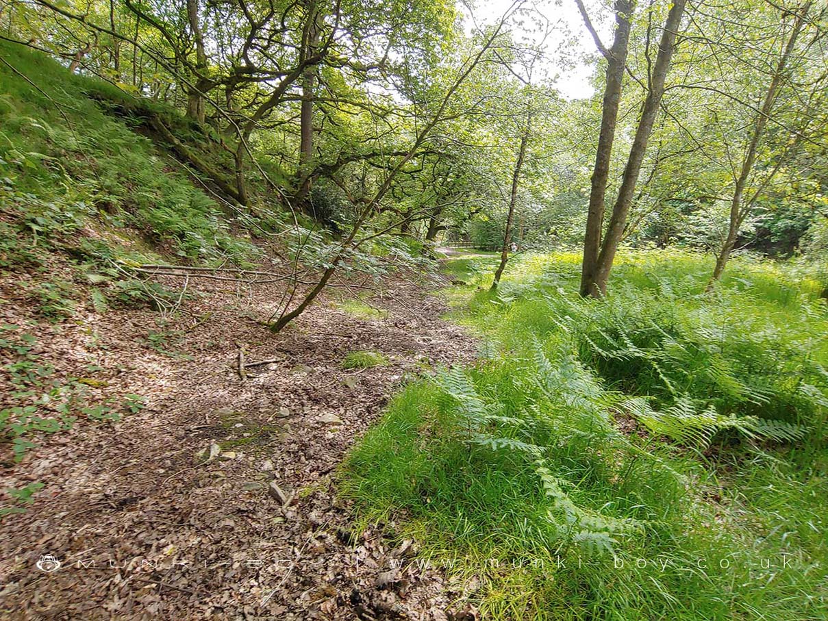 Old Course of the Limestone Brook at Lead Mines Clough

