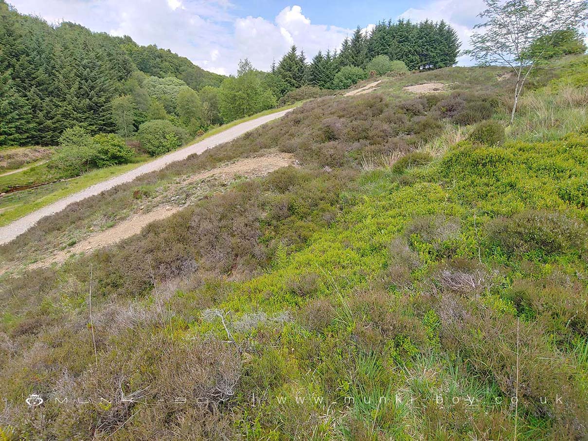 Near the site of New Engine Shaft at Lead Mines Clough

