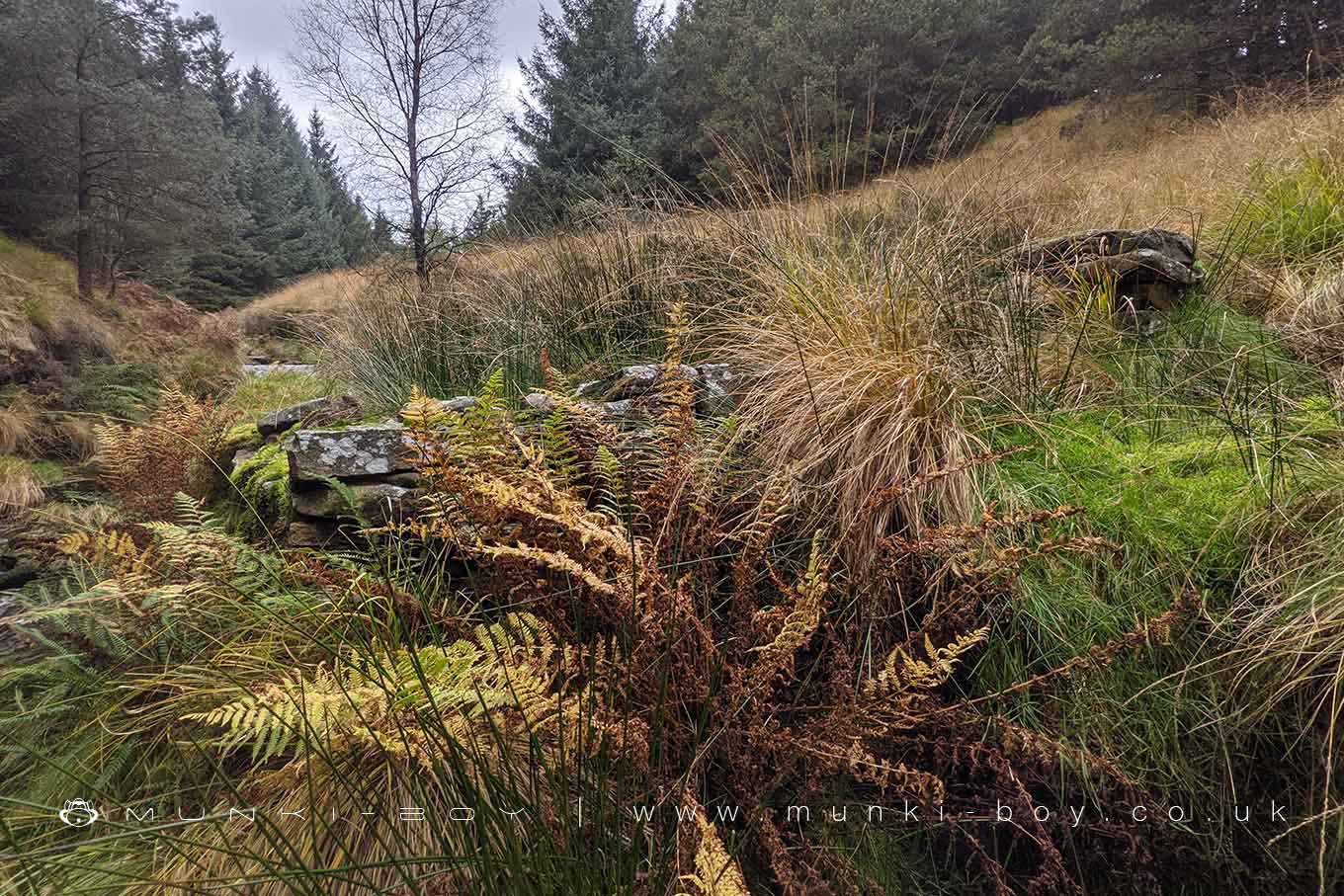An Old 'Sheep Pen' beside the Limestone Brook at Lead Mines Clough
