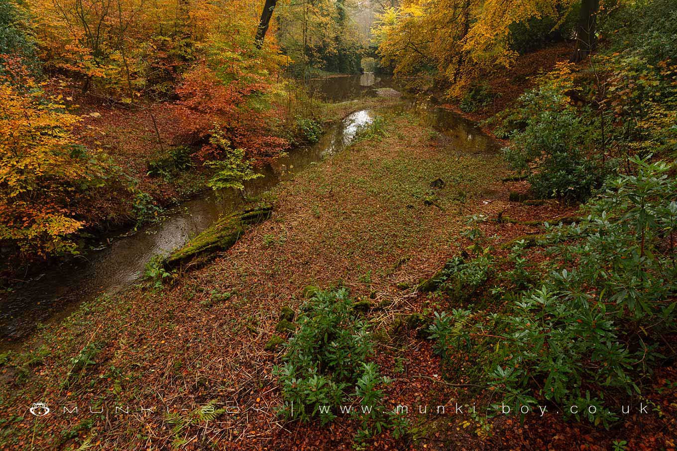 Ornamental Pond at Smithills Hall from a stone platform designed to look like a natural rock outcrop

