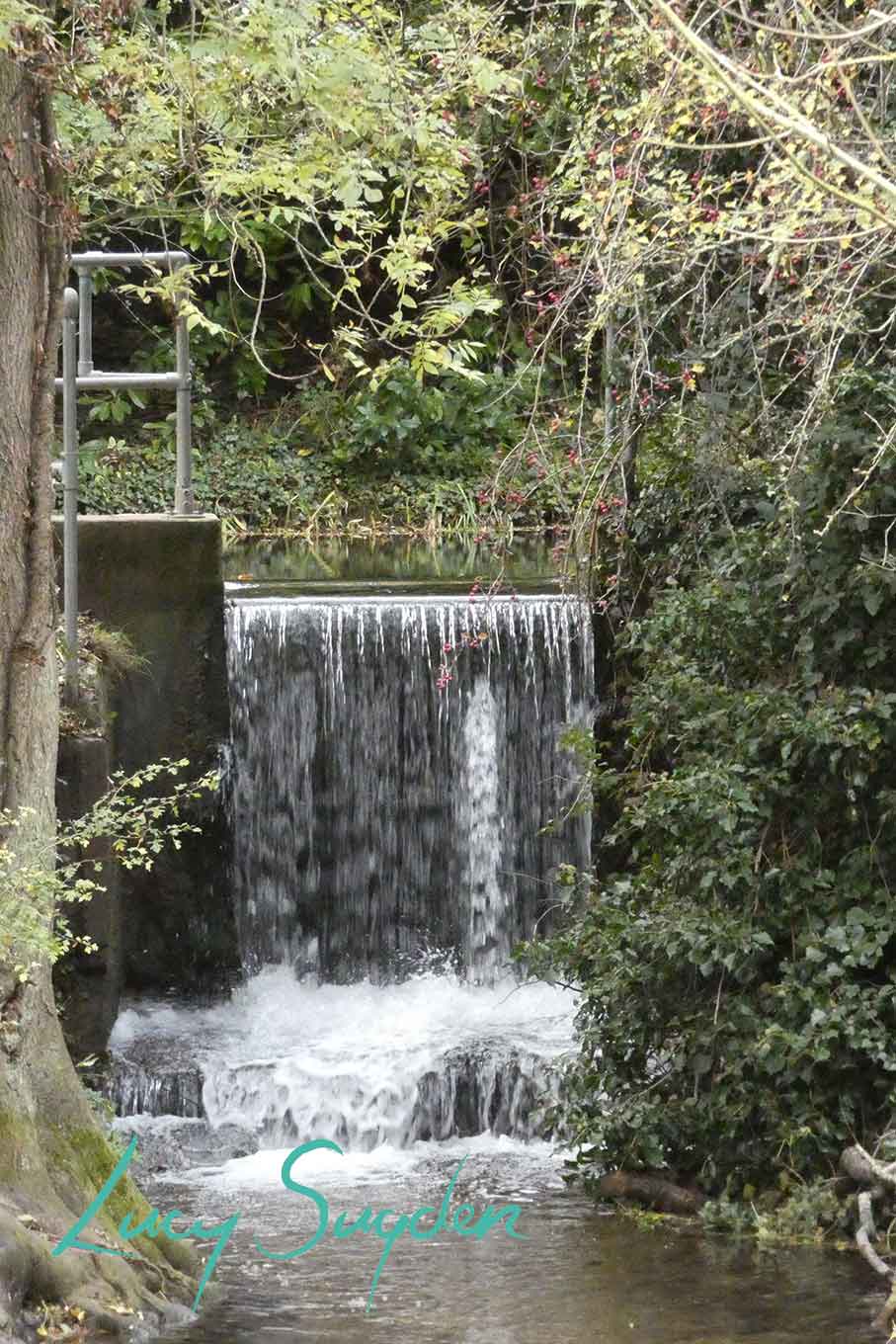 Oughtonhead Common Nature Reserve