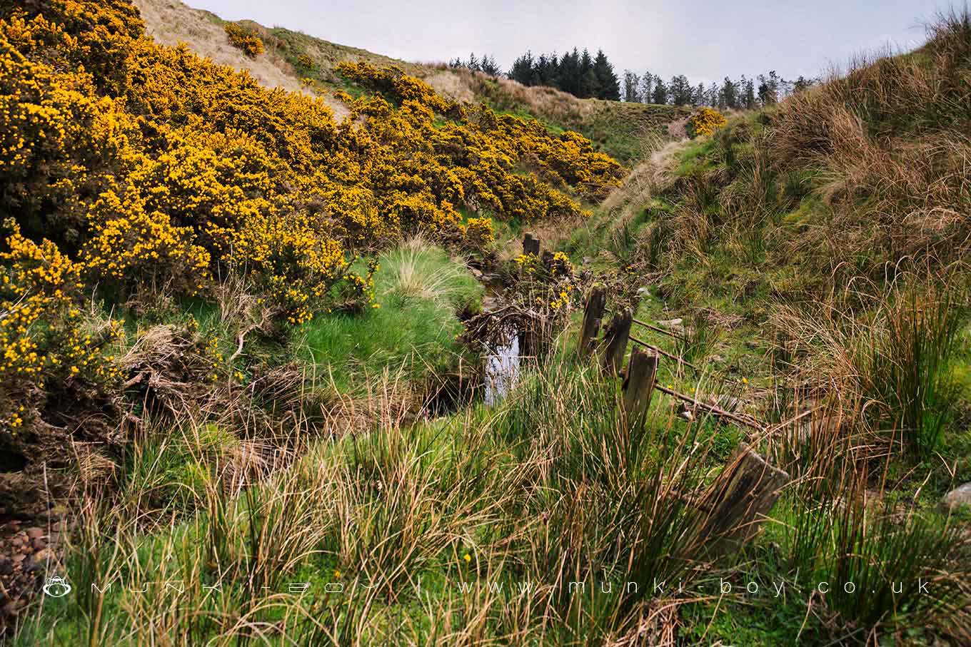 Owshaw Clough