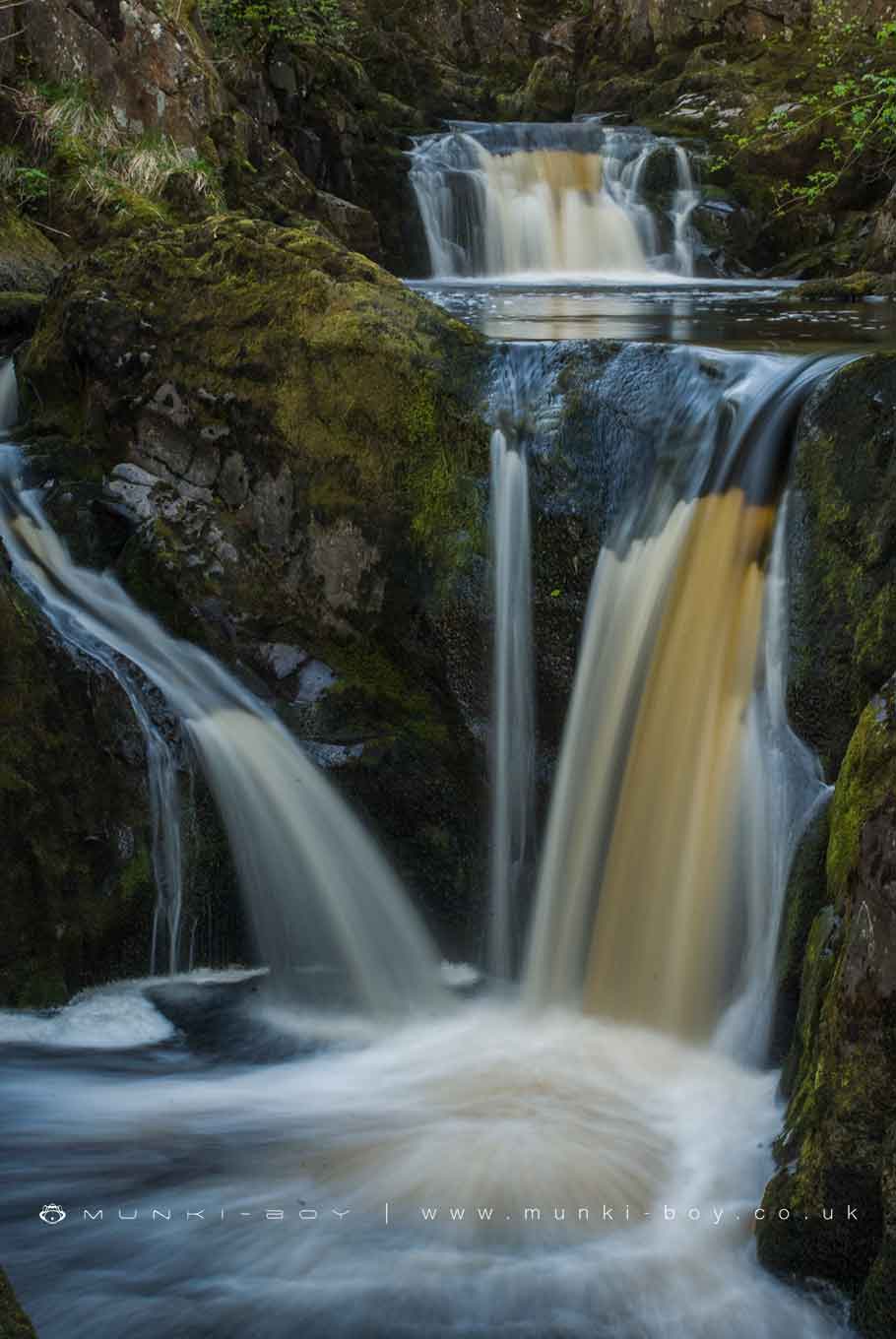Pecca Twin Falls