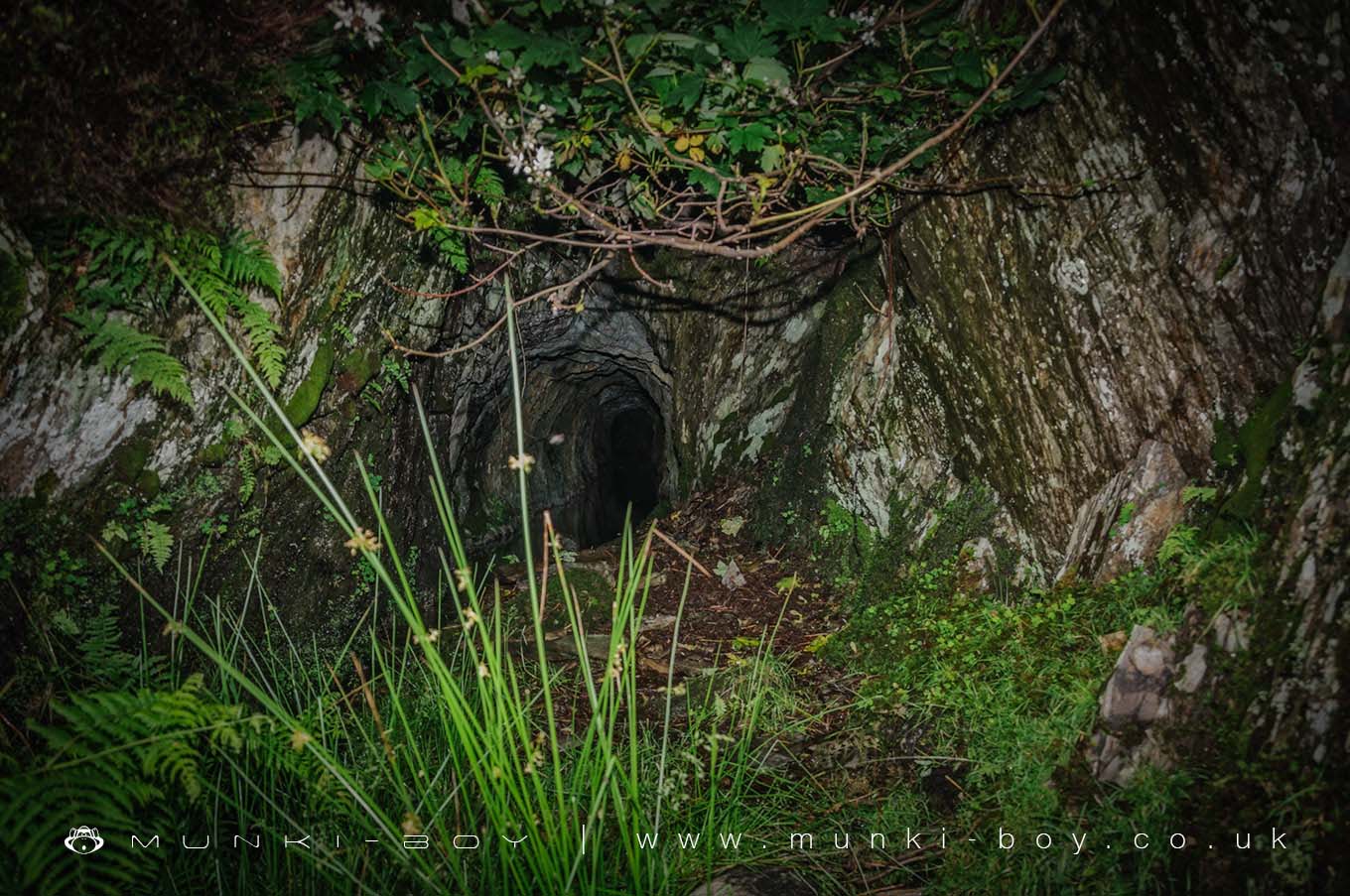 Penny Rigg Quarry Adit