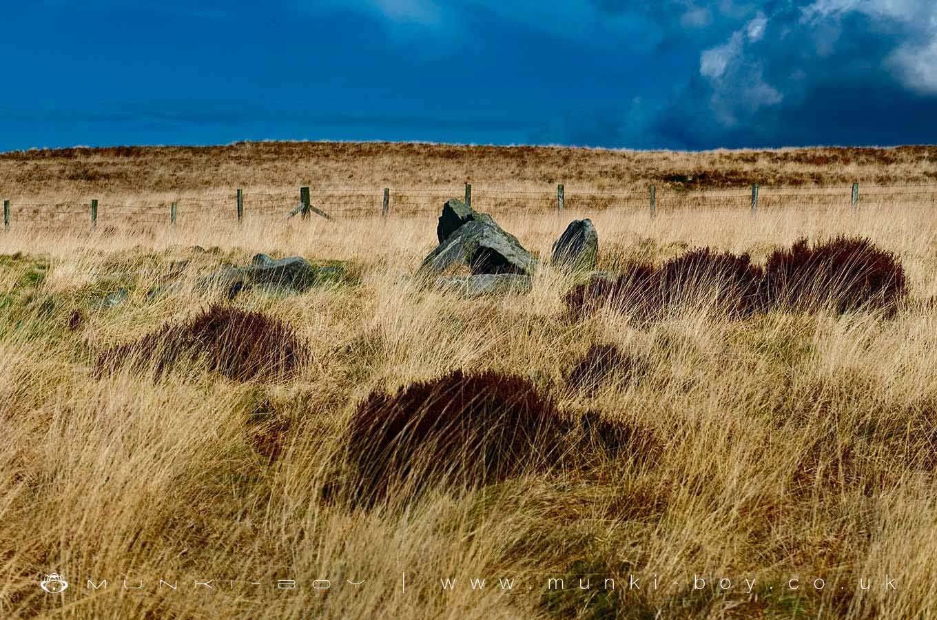 Pikestones Chambered Long Cairn