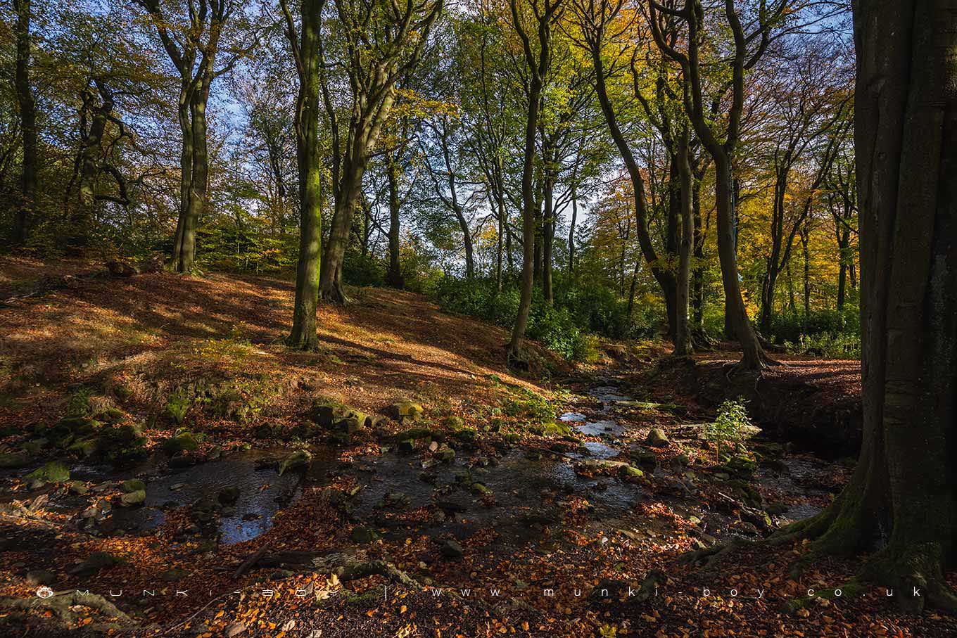 Raveden Brook