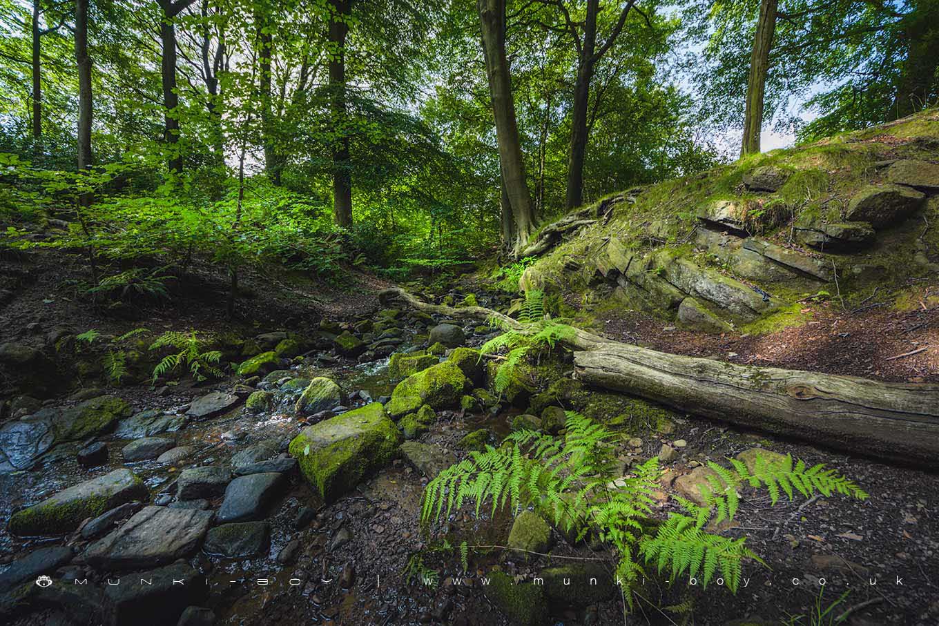 Raveden Clough
