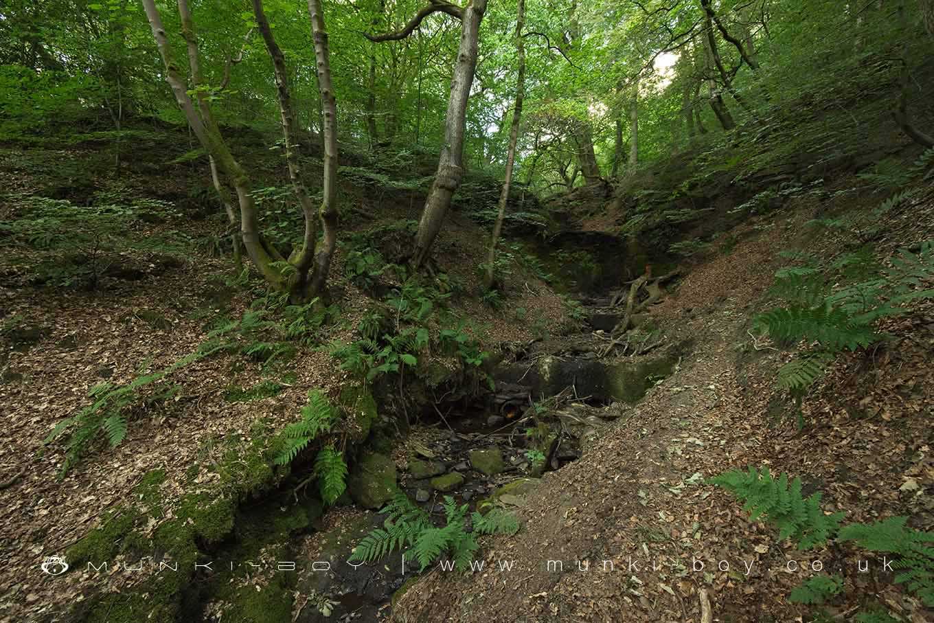 Redisher Wood Waterfall