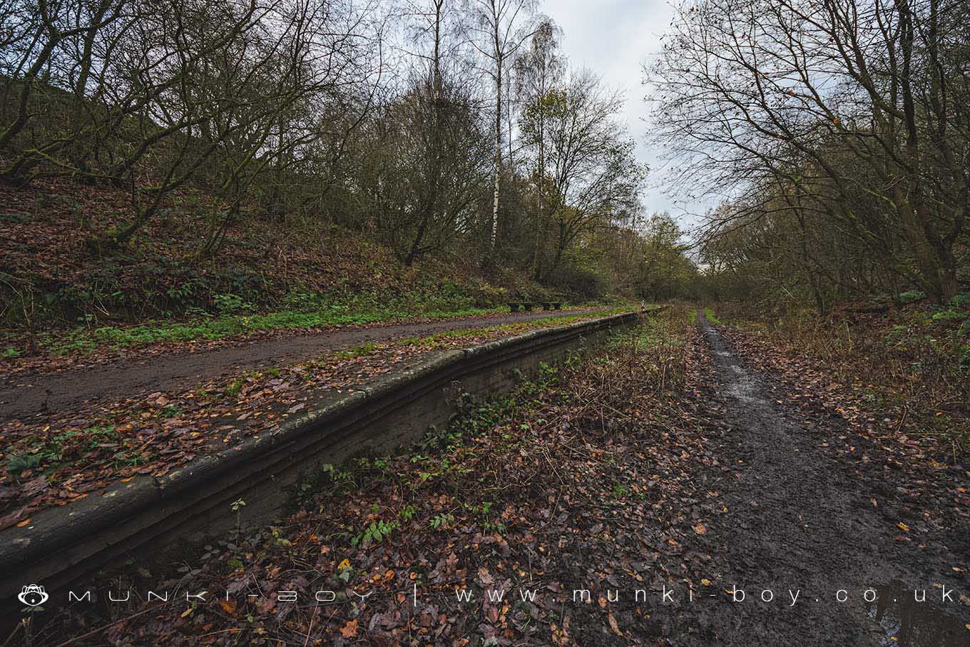 Ringley Road Station (ruin)