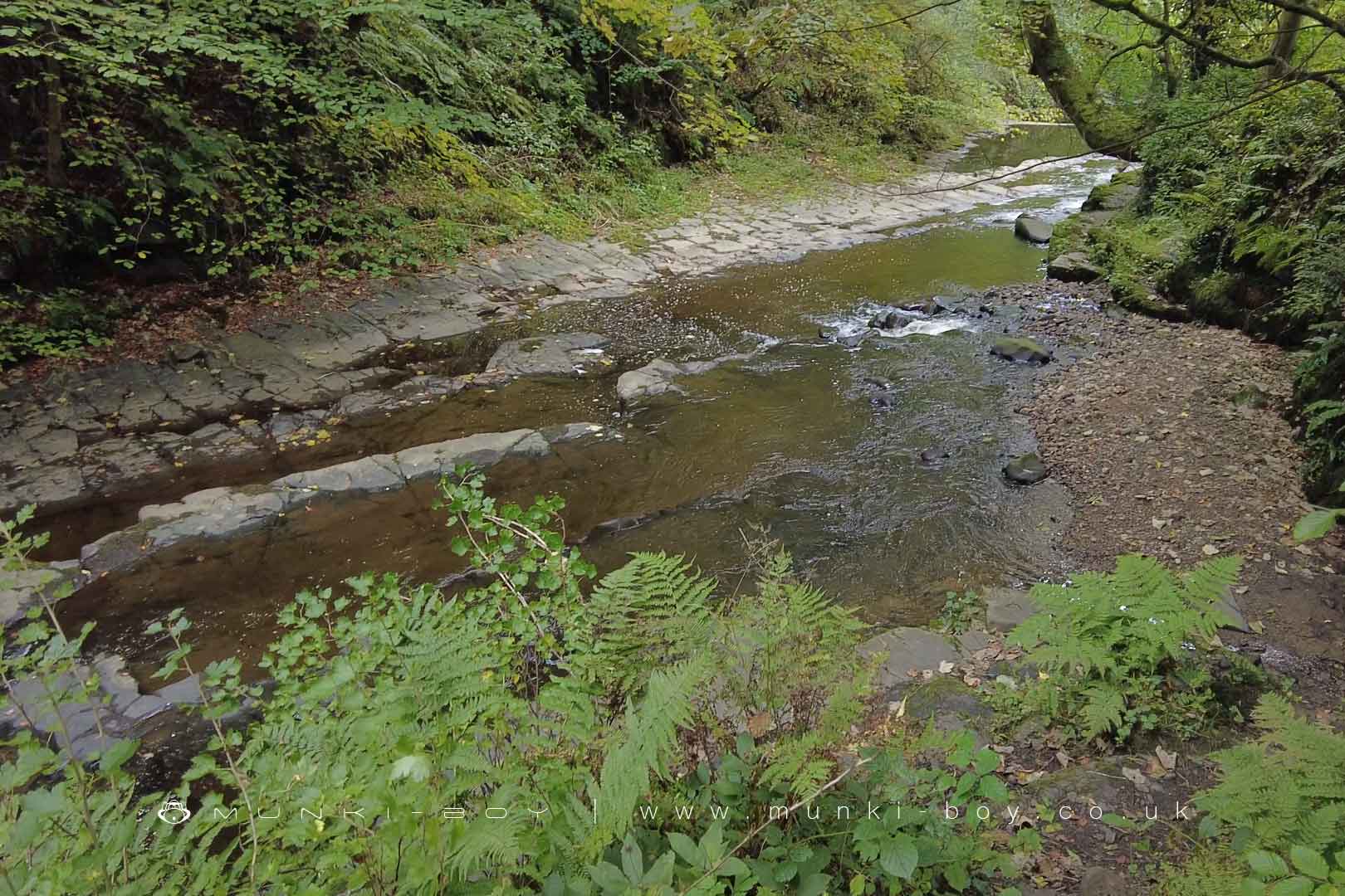 River Brock at Brock Bottom