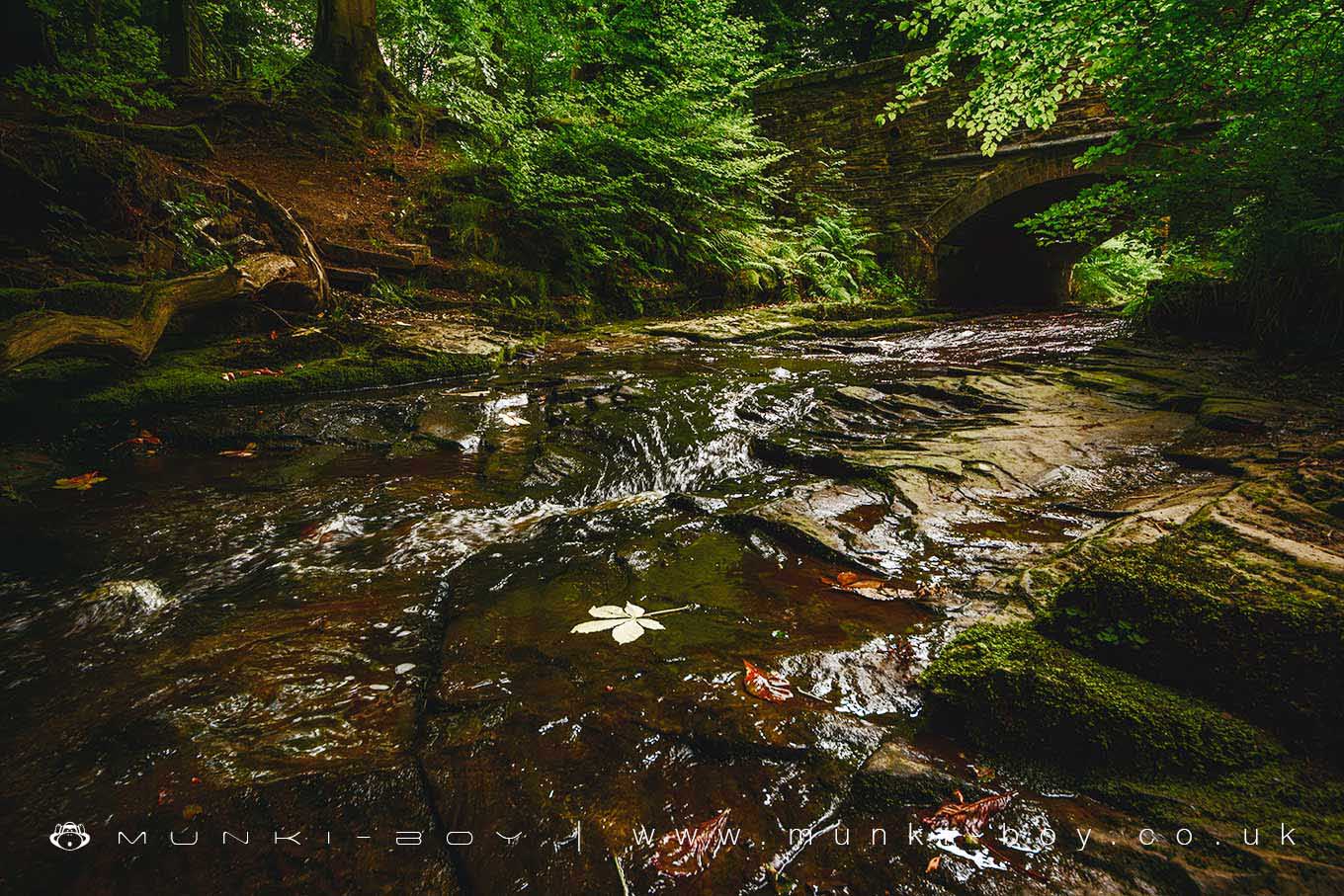 River Roddlesworth