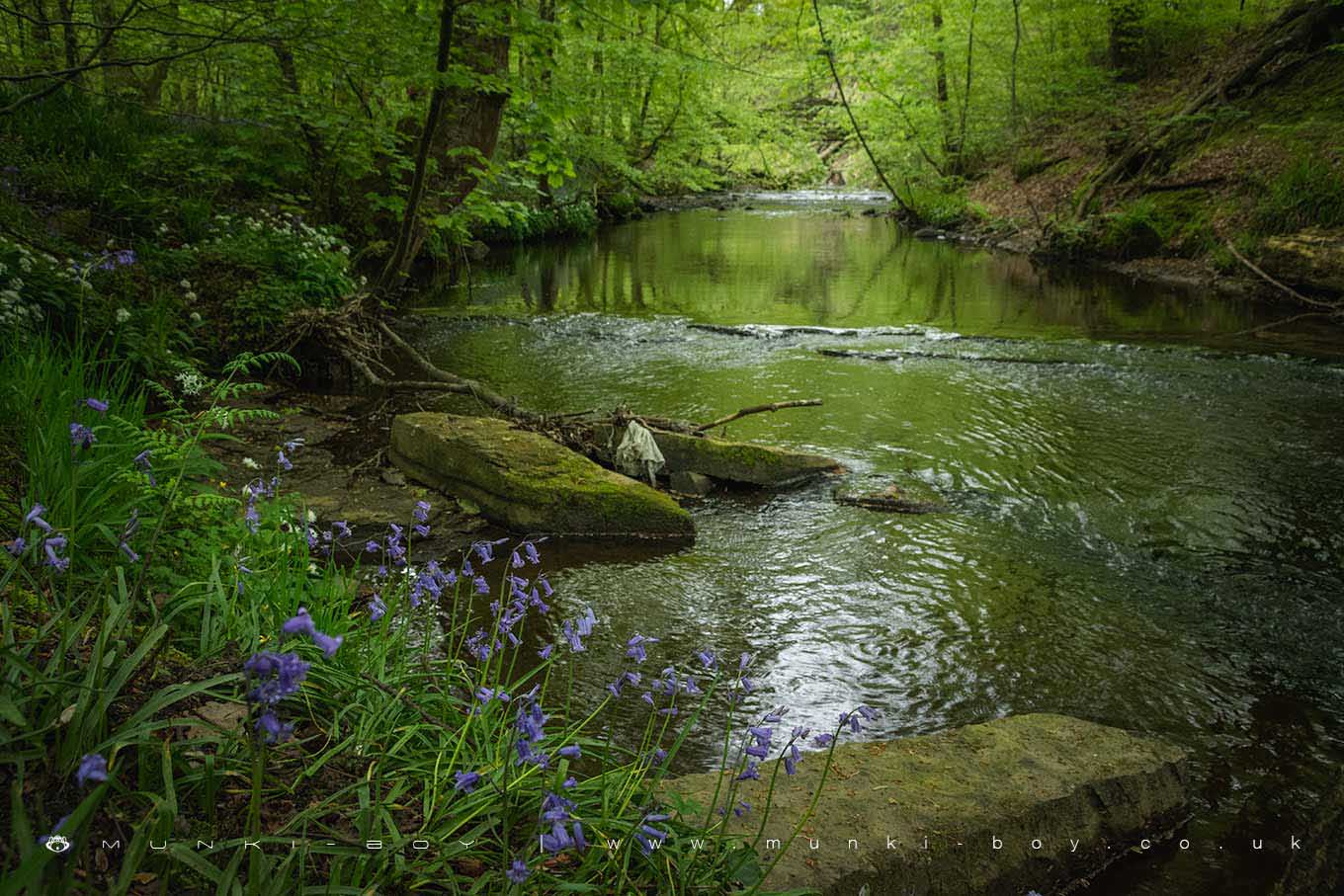 River Yarrow