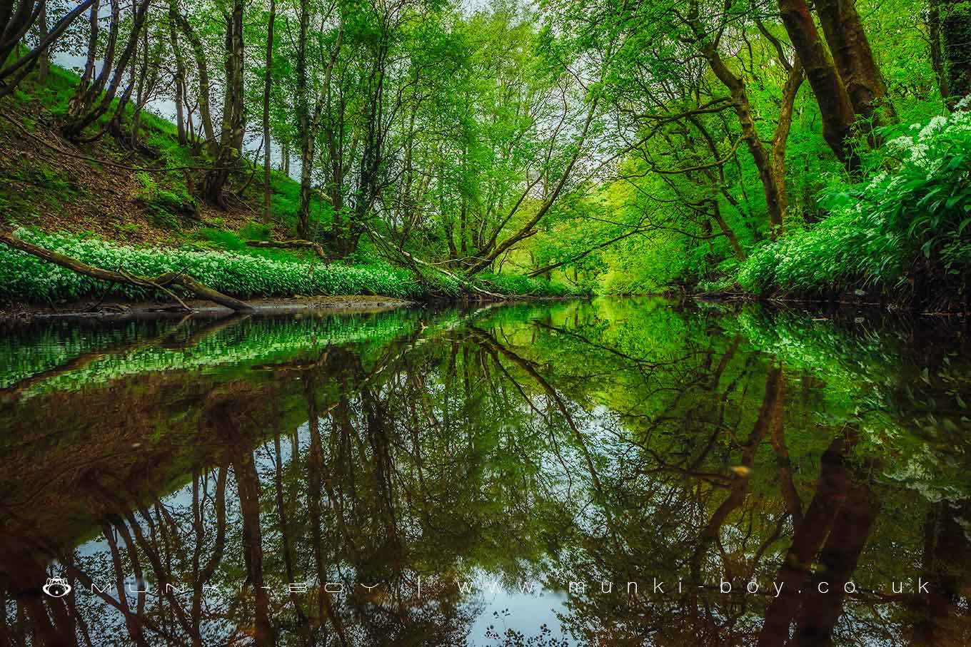 The River Yarrow at Duxbury
