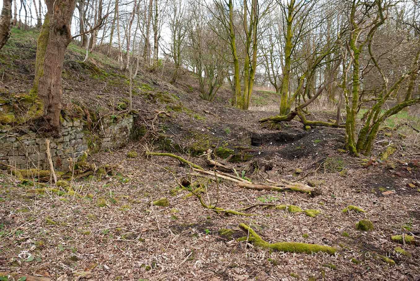 Room Footprints at the site of Dean Mills
