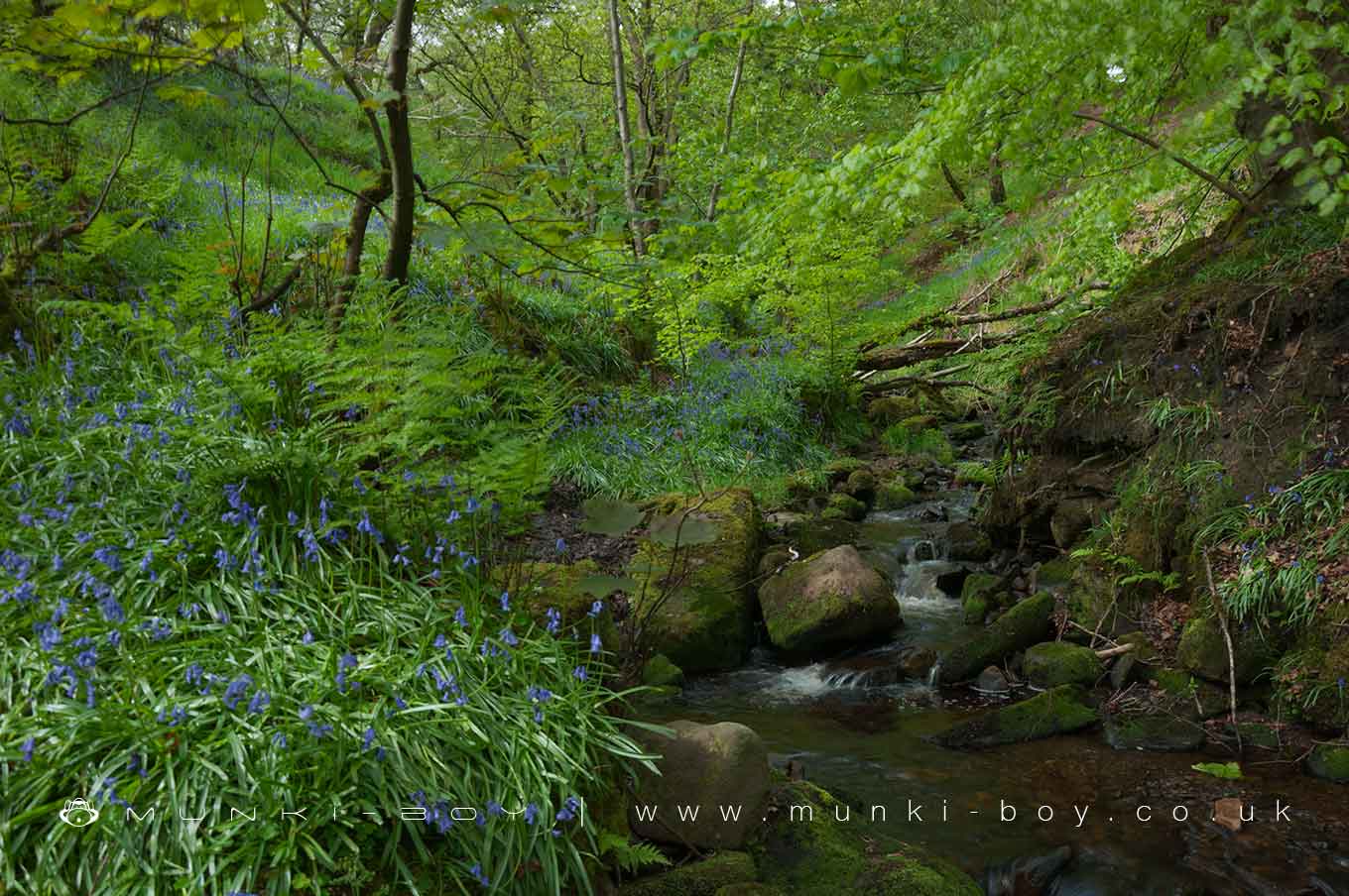 Roscow Clough