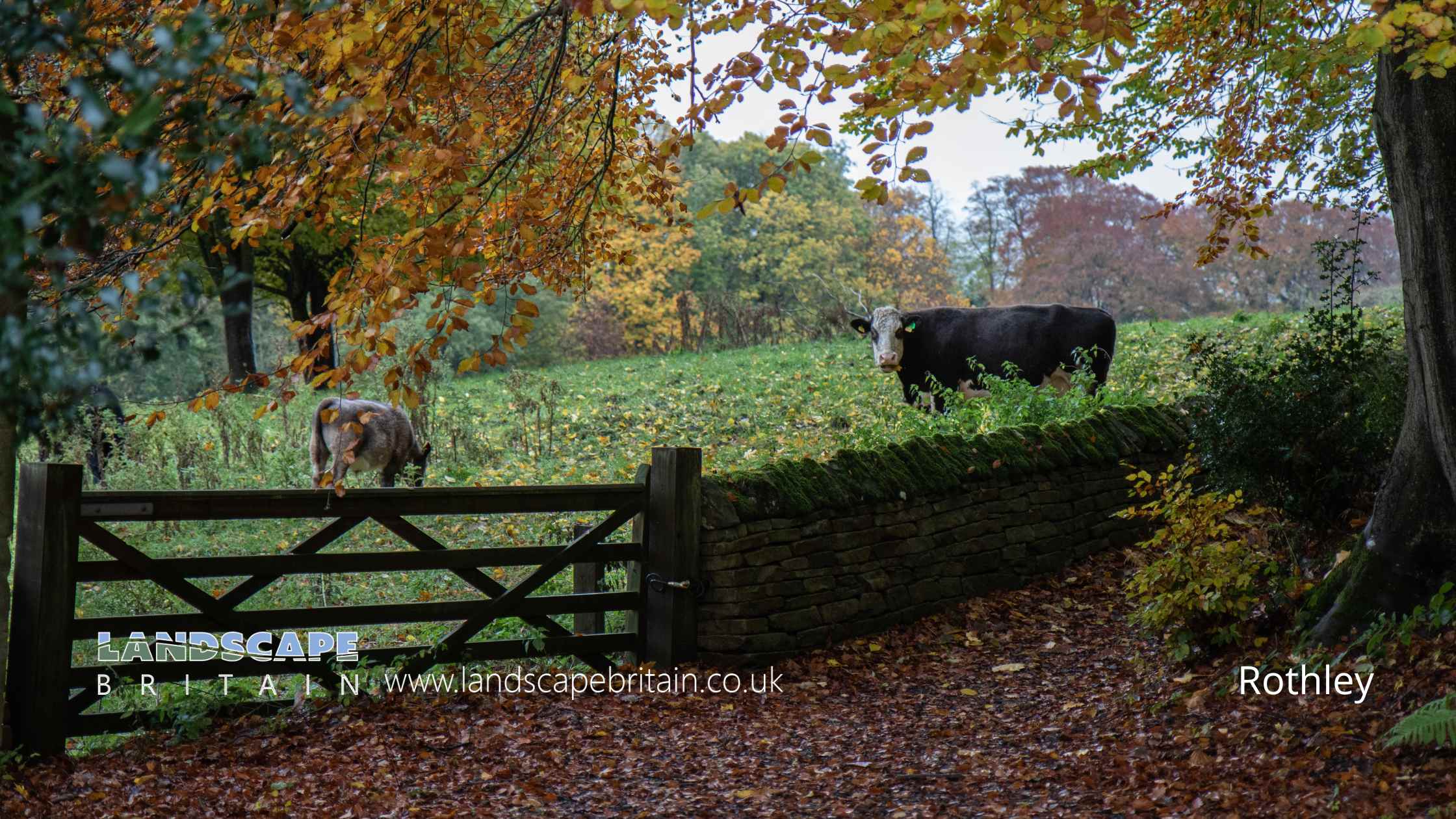 Rothley