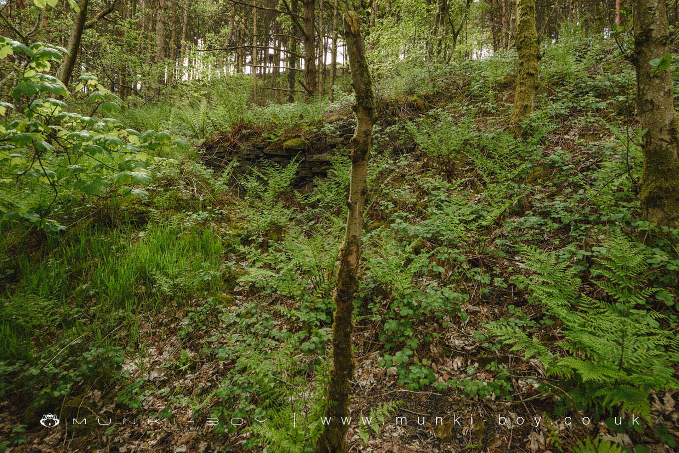 Rough Bank Colliery (ruin)
