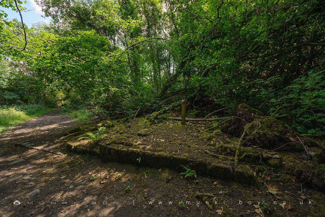 Ruins in Billinge Wood
