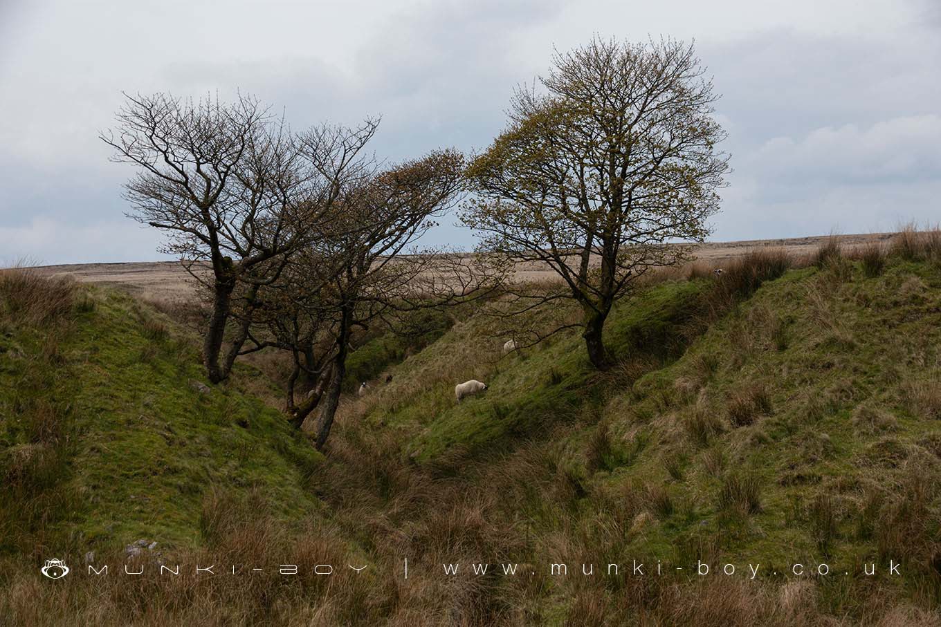 Rushtons Brook