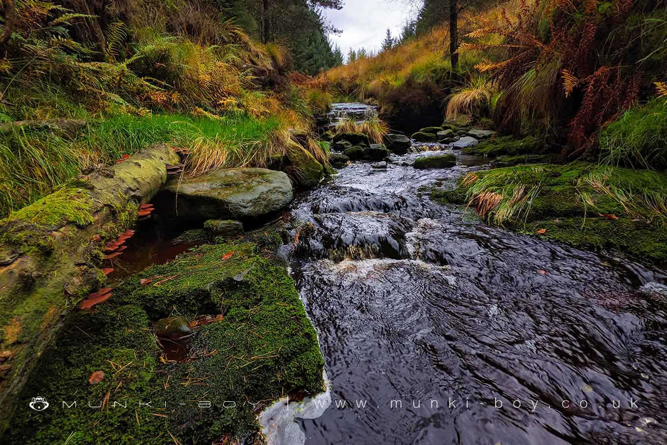 Sheep Pen Waterfall