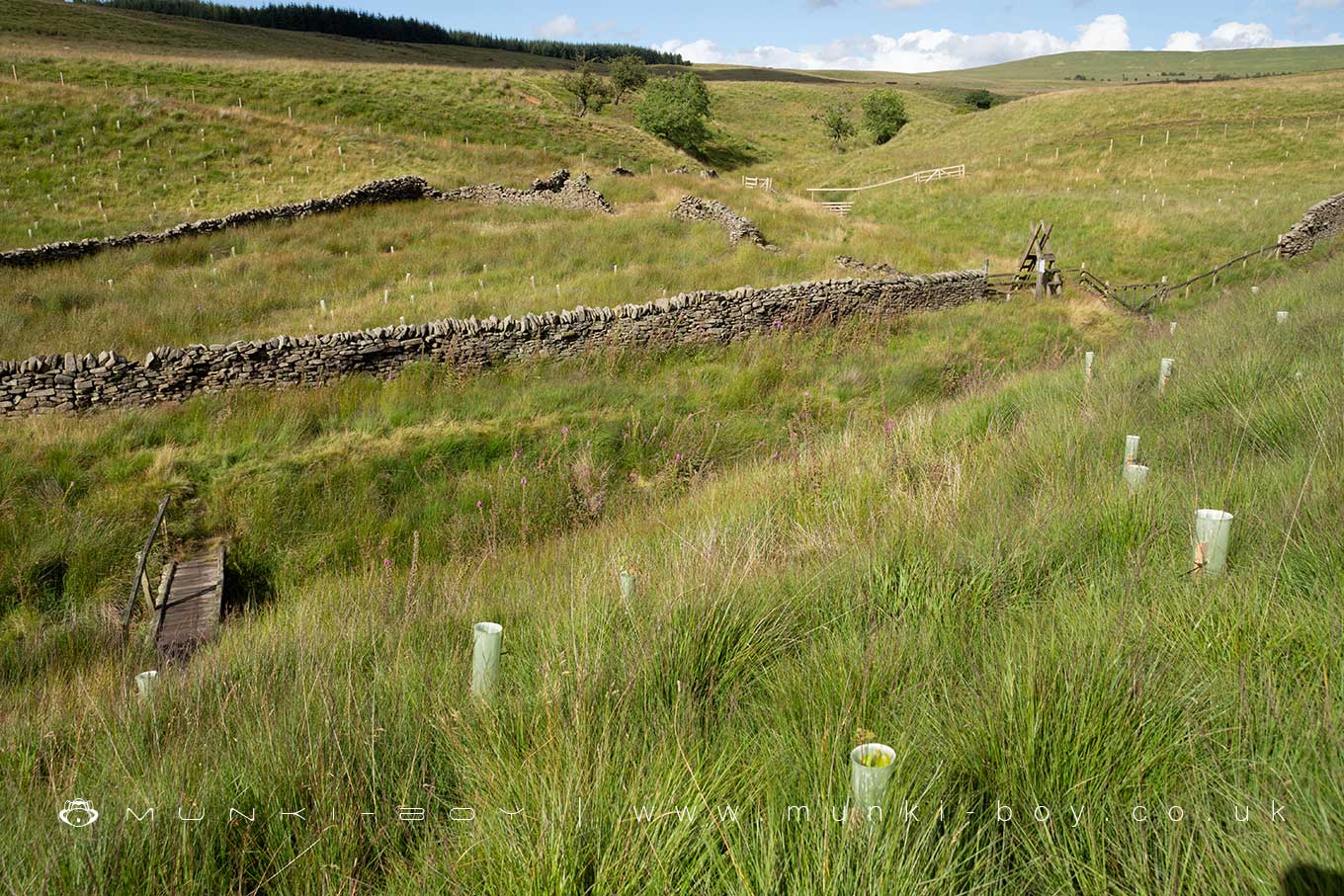 Simm’s Sheepfold (ruin)